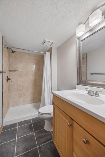 Lower level bathroom