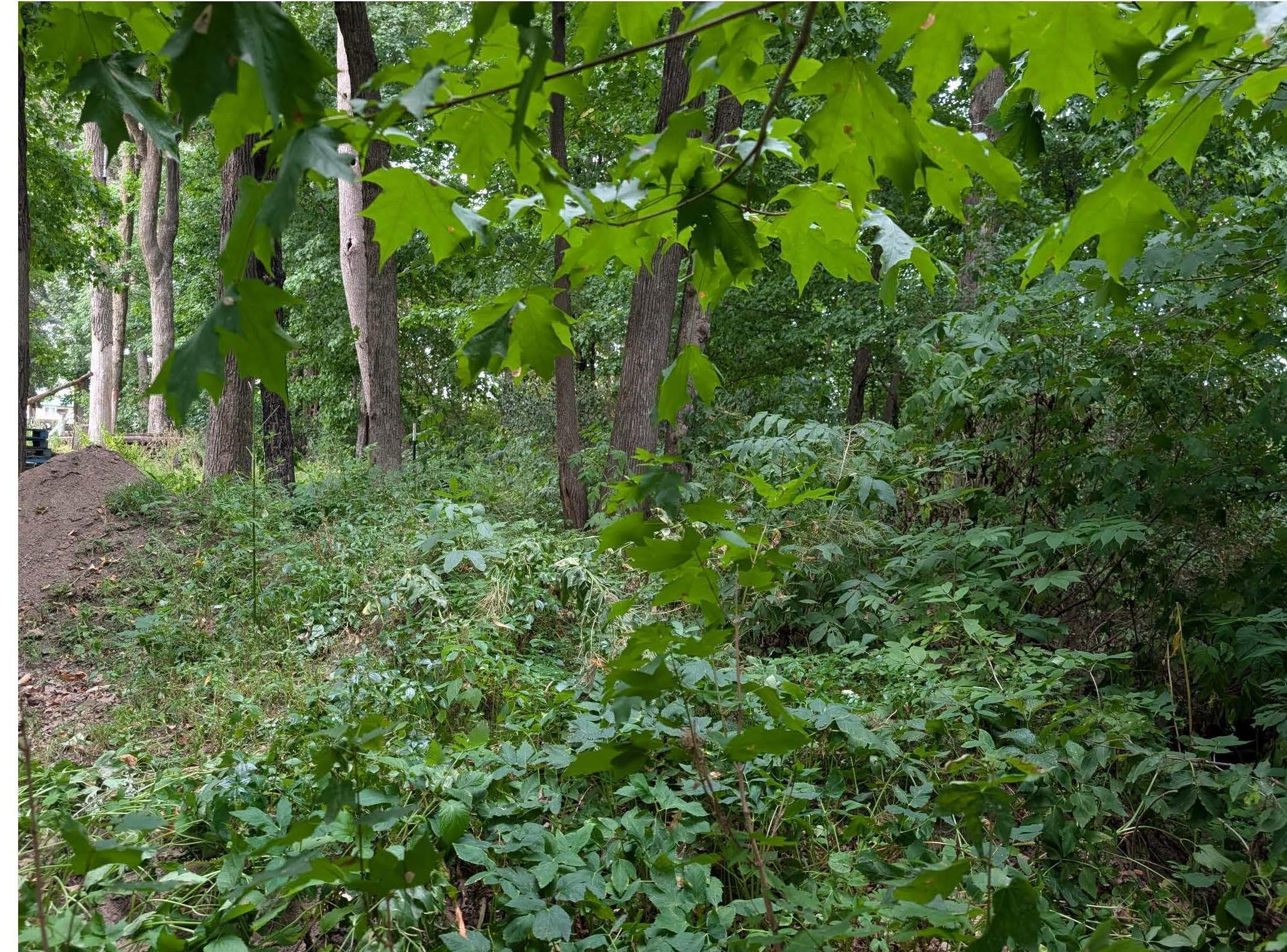 Property photo for xxx E Birch Avenue, Barron, WI 54812