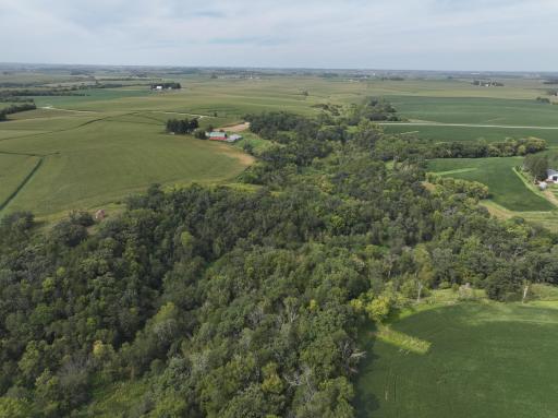 DJI_20260828154447_0797_D.JPG