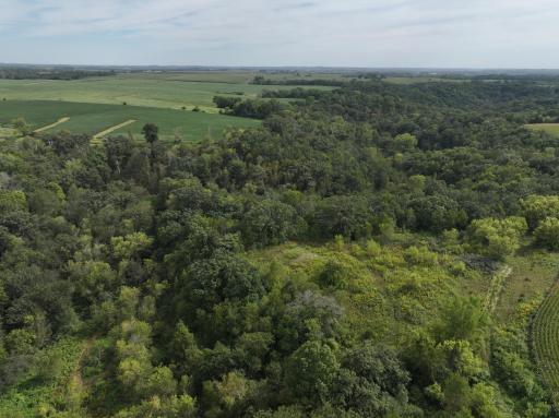 DJI_20260828154623_0803_D.JPG