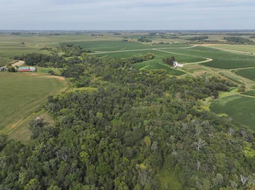 DJI_20260828154505_0798_D.JPG