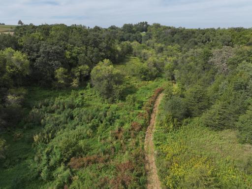 DJI_20260828154720_0806_D.JPG