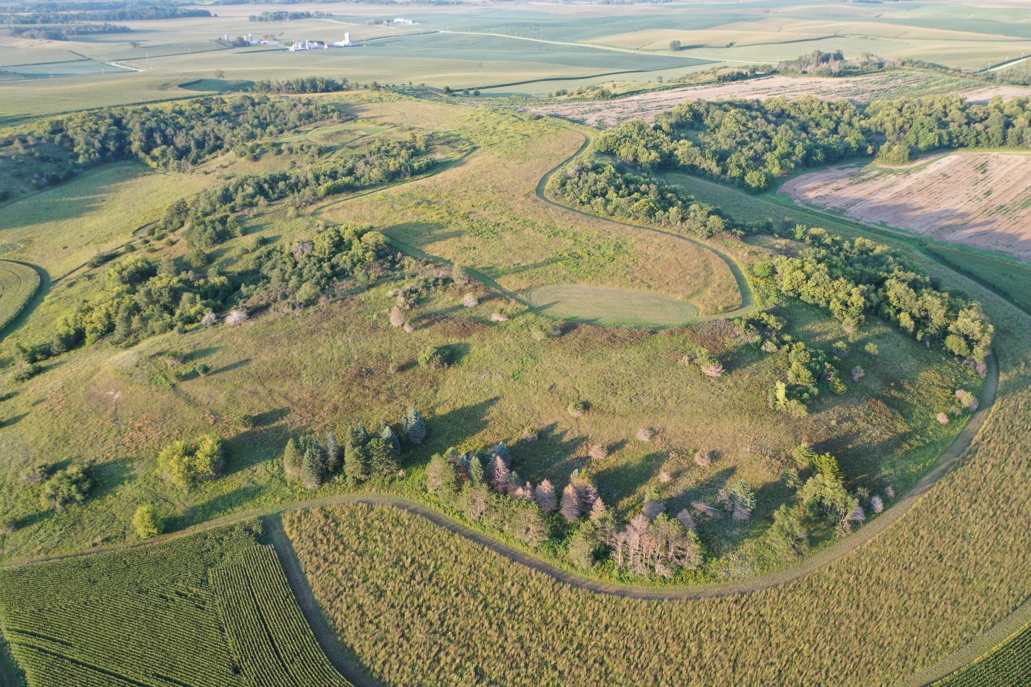 DJI_0647.JPG