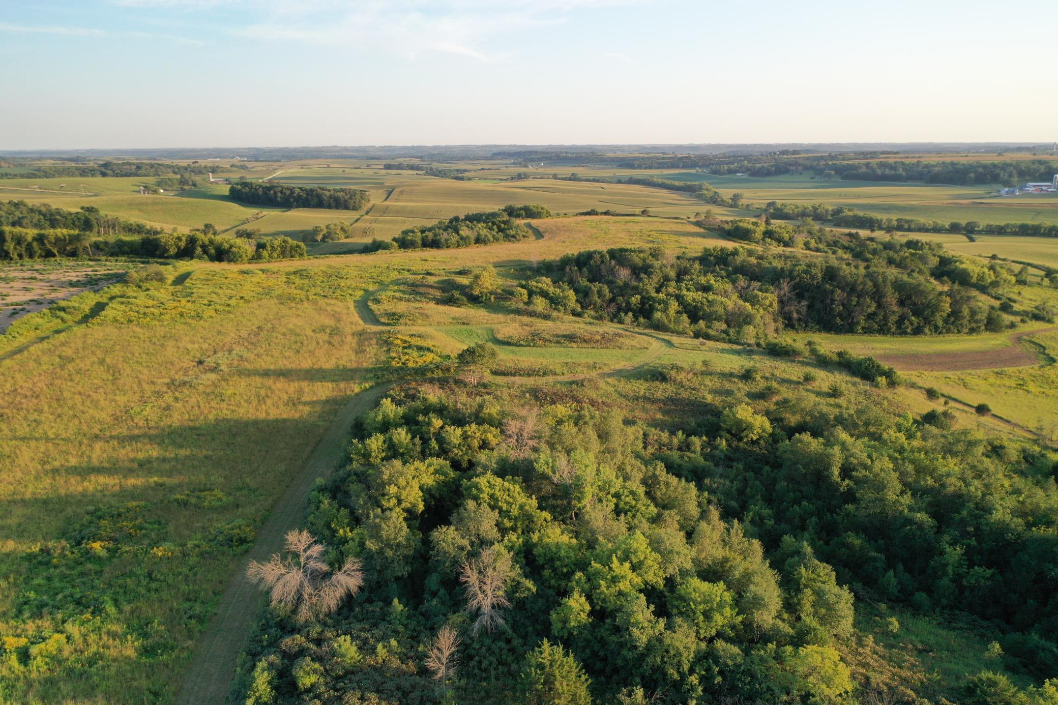DJI_0656.JPG