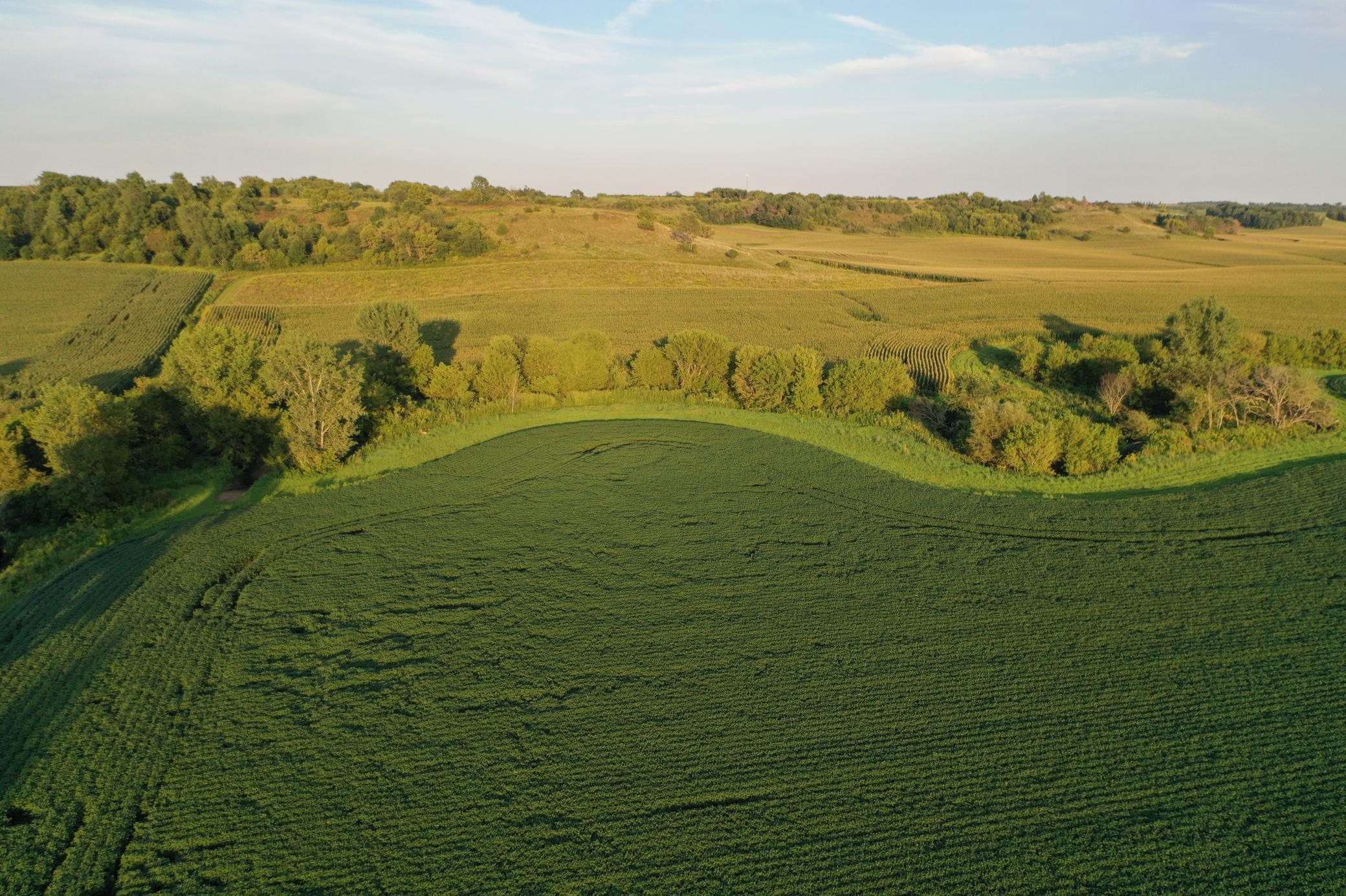 DJI_0649.JPG