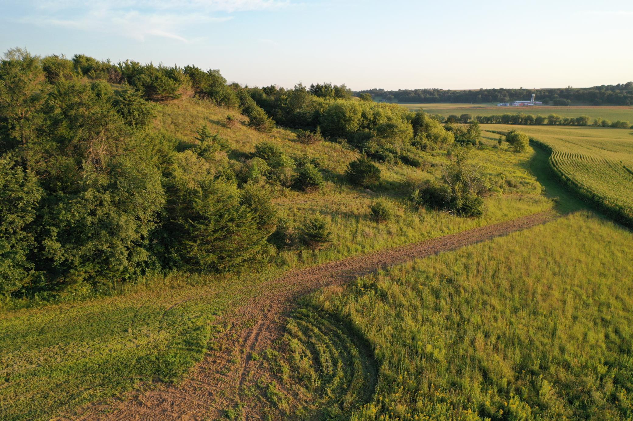 DJI_0659.JPG