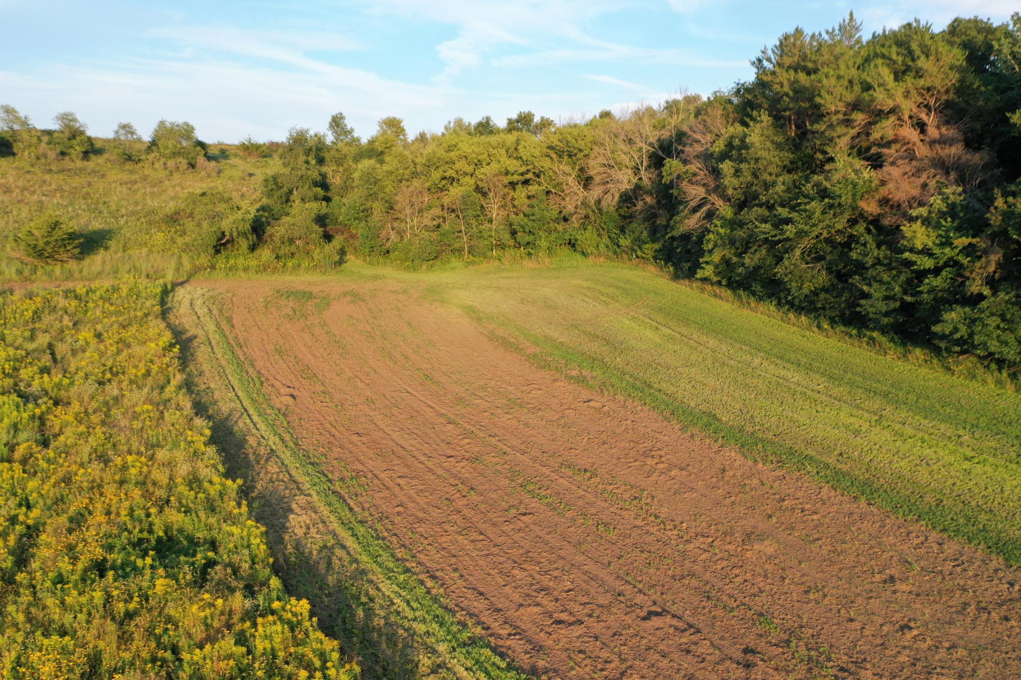 DJI_0660.JPG