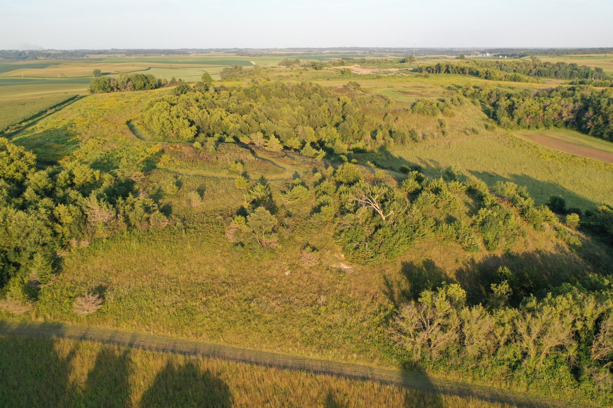 DJI_0653.JPG
