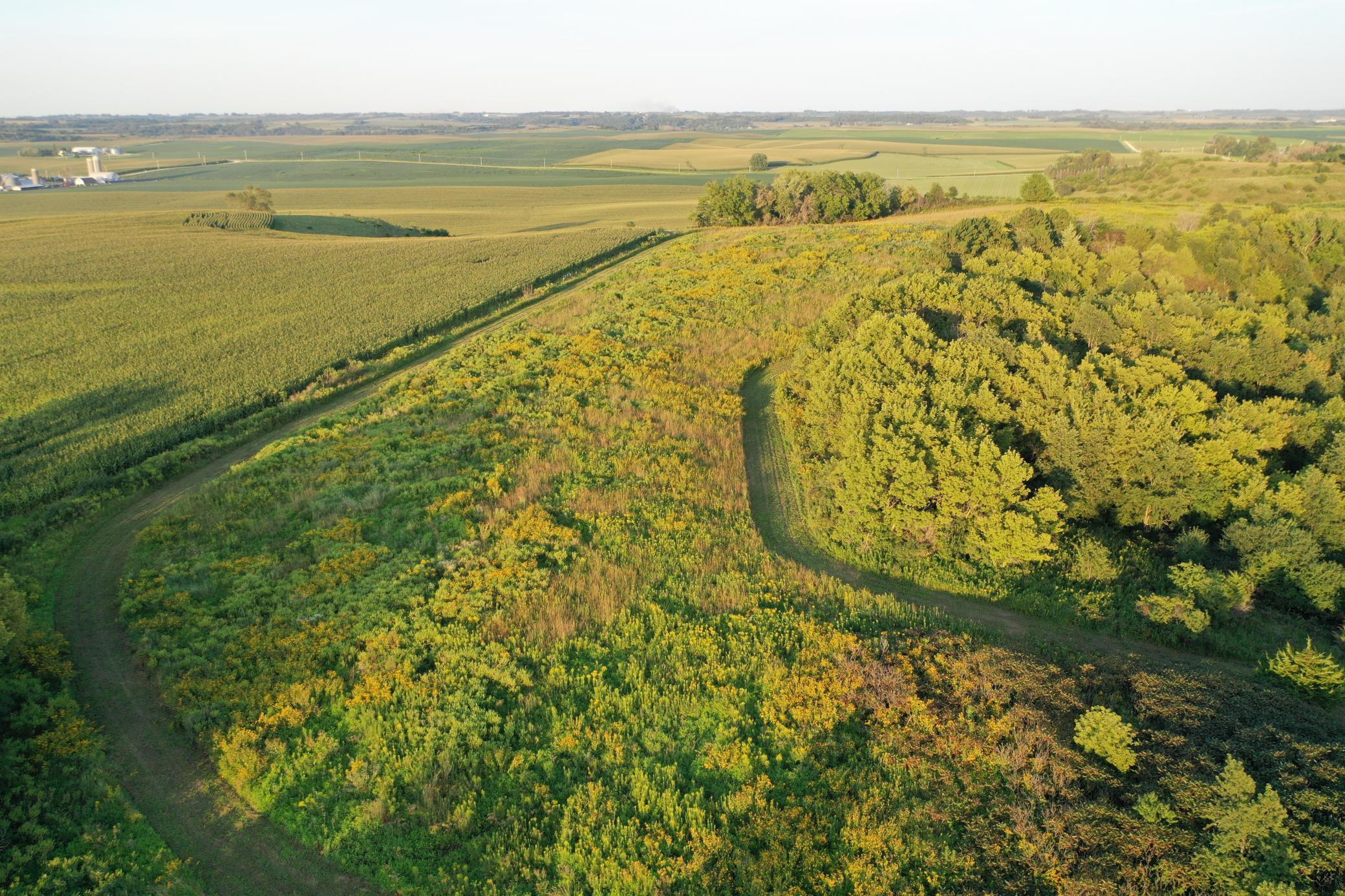 DJI_0654.JPG