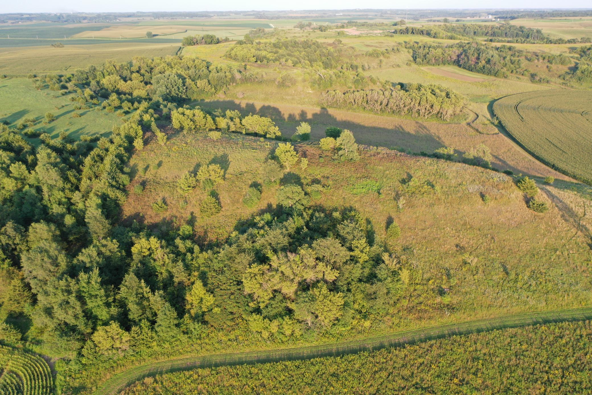 DJI_0651.JPG