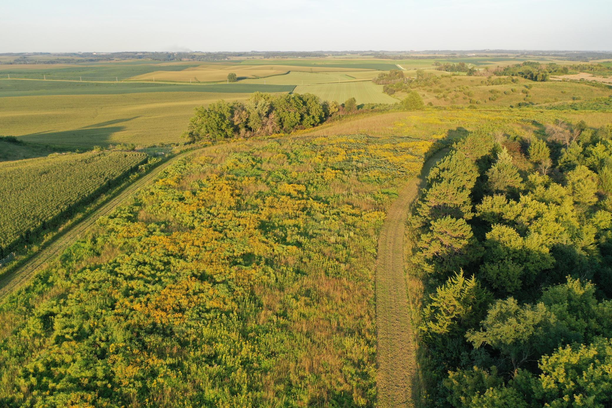 DJI_0655.JPG