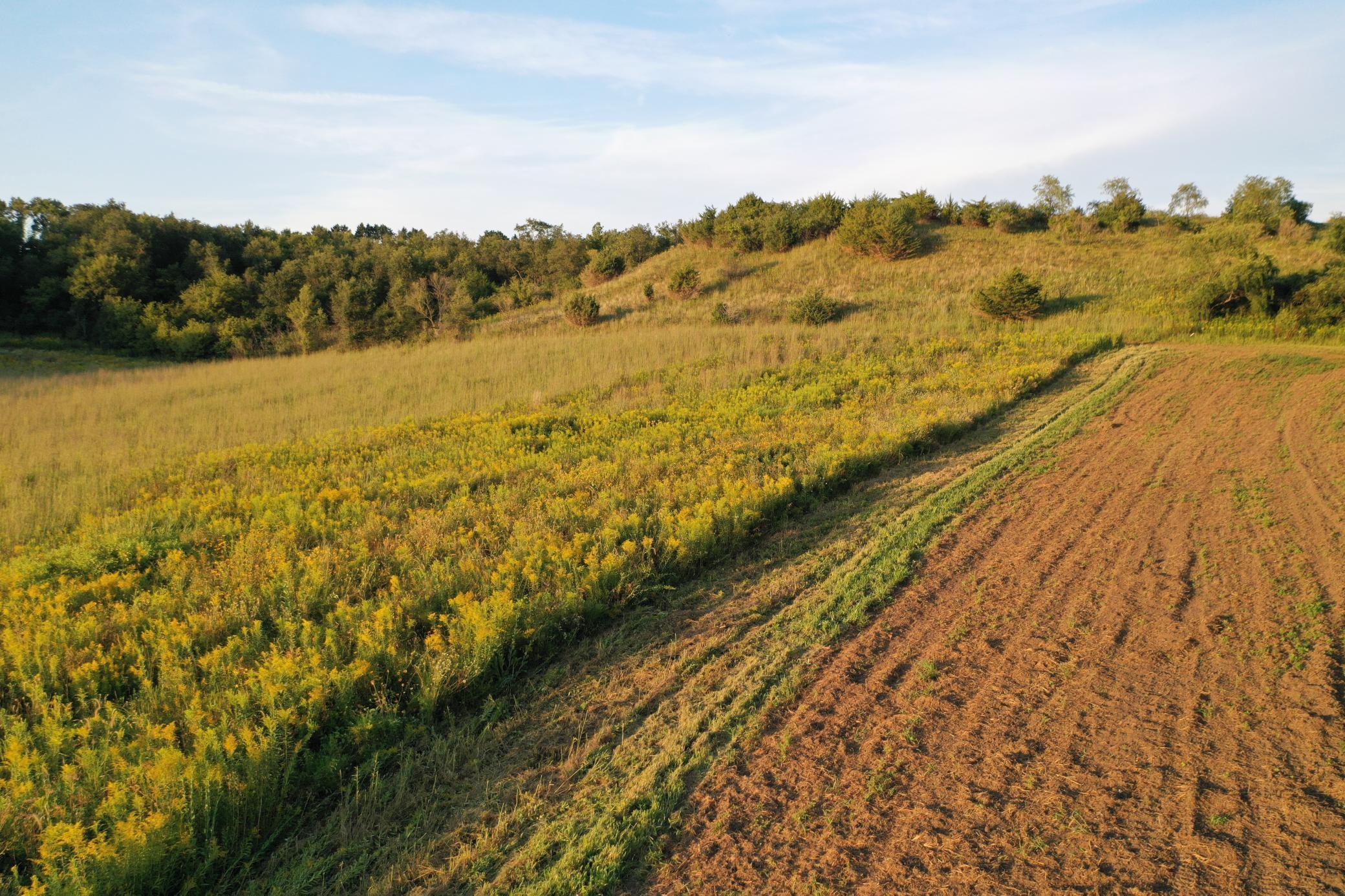 DJI_0661.JPG