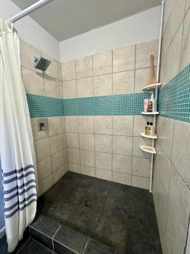 Primary Bathroom Tile Shower