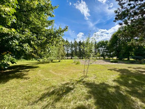 Yard/Garden