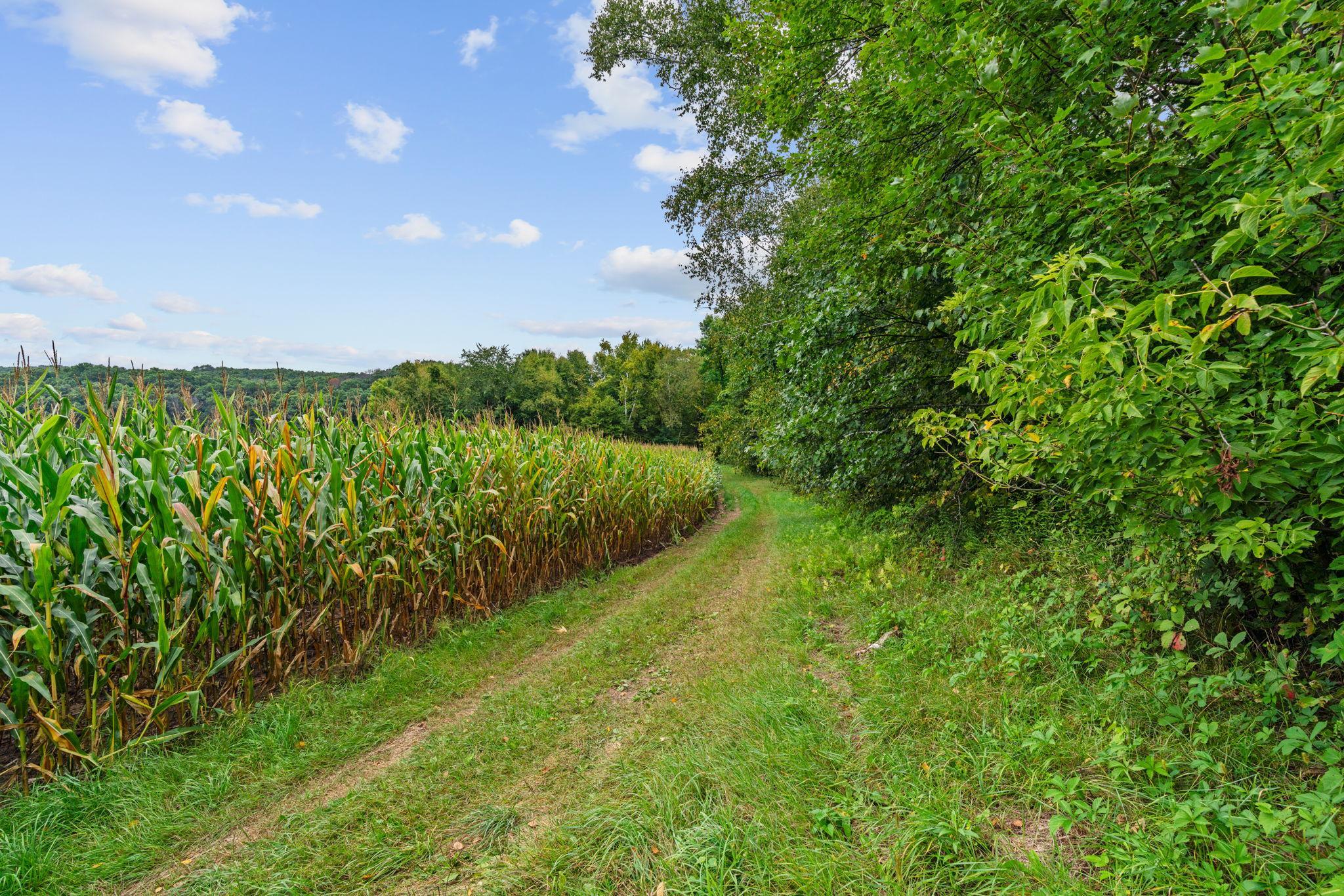 34-web-or-mls-2011 WI-87-34.jpg