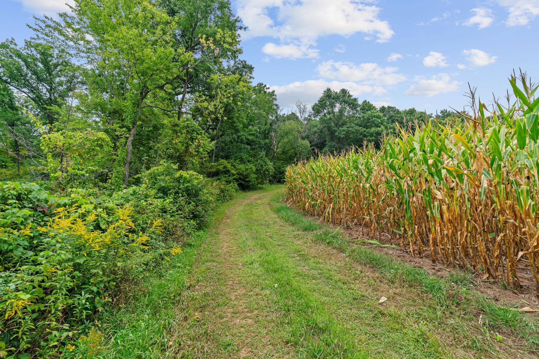 28-web-or-mls-2011 WI-87-28.jpg