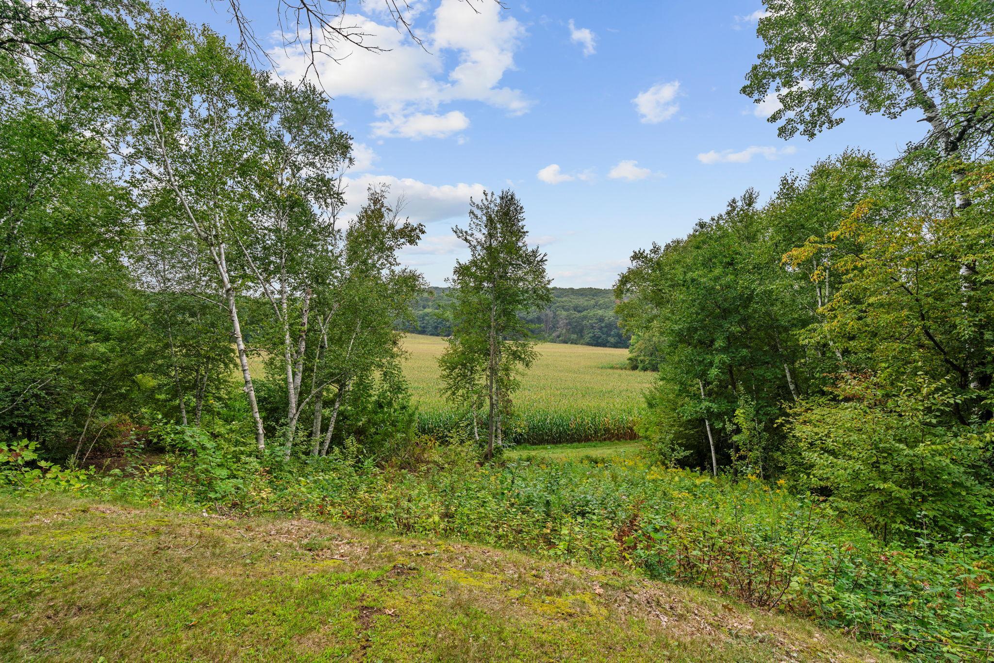 13-web-or-mls-2011 WI-87-13.jpg