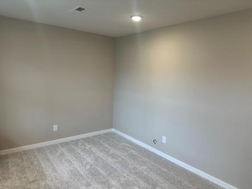 Flex Room at 8827 63rd St. S..jpg