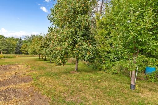 25115 Lamb Avenue, Kenyon, MN 55946