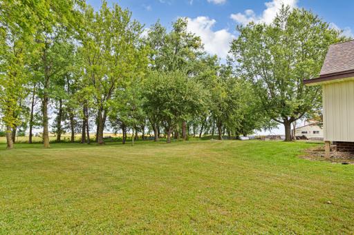 25115 Lamb Avenue, Kenyon, MN 55946