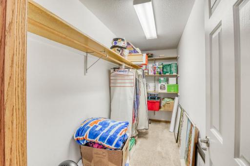 Basement Bedroom3_closet