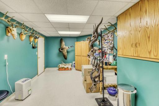 Basement Hobby Room