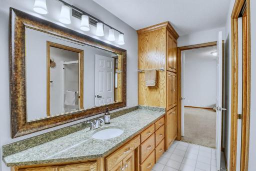 Basement Bathroom1_0