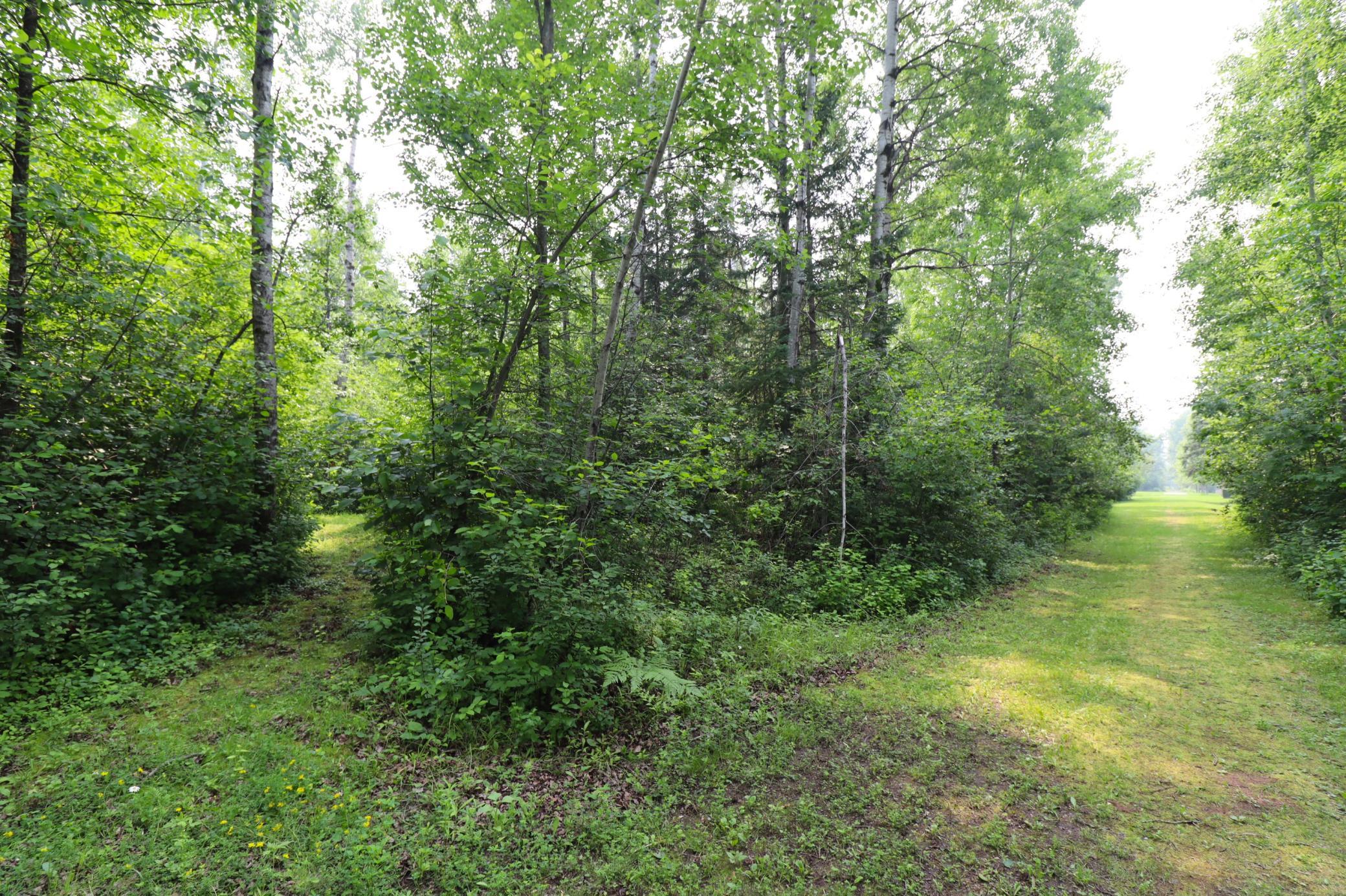 IMG_6854.JPG
