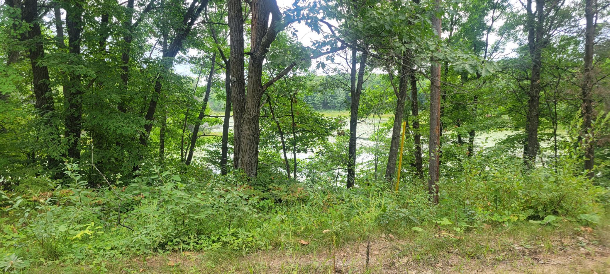 Property photo for TBD Cedar Road, Cushing, MN 56443