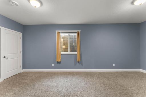 Fifth bedroom on the lower level featuring a spacious closet and egress window.
