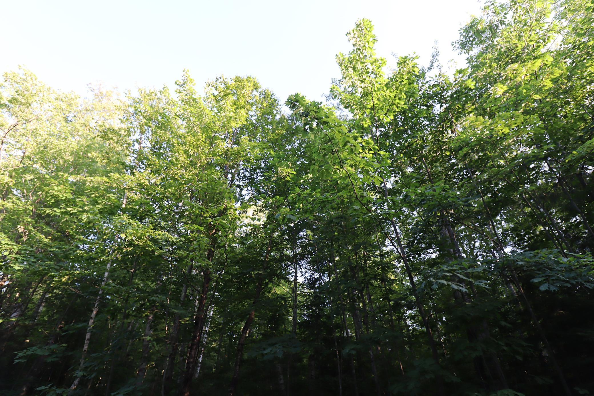 IMG_9885.JPG