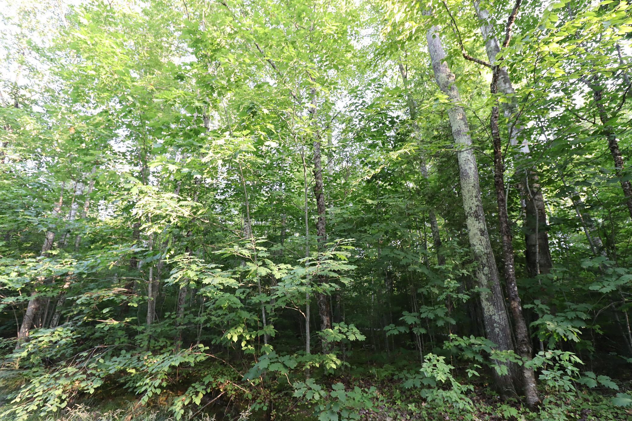 IMG_9891.JPG
