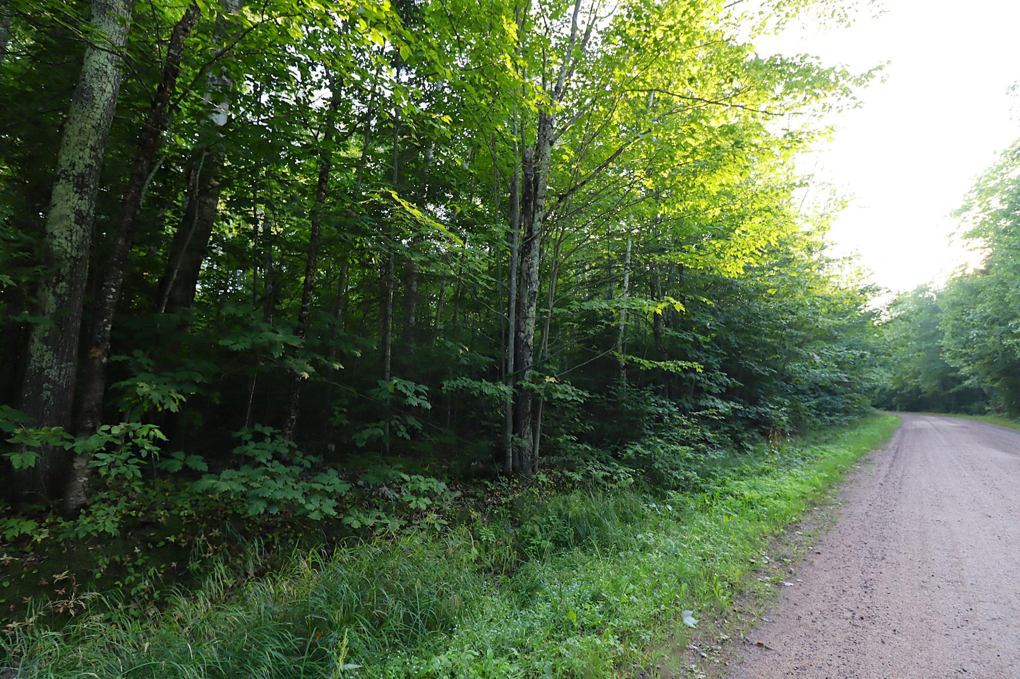 IMG_9893.JPG