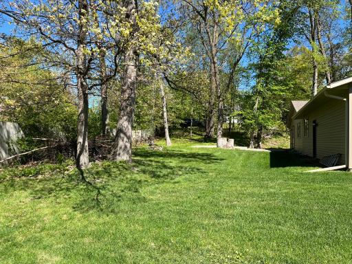 Nice, level yard