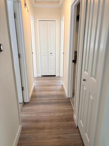 Back Hall, new doors and trim