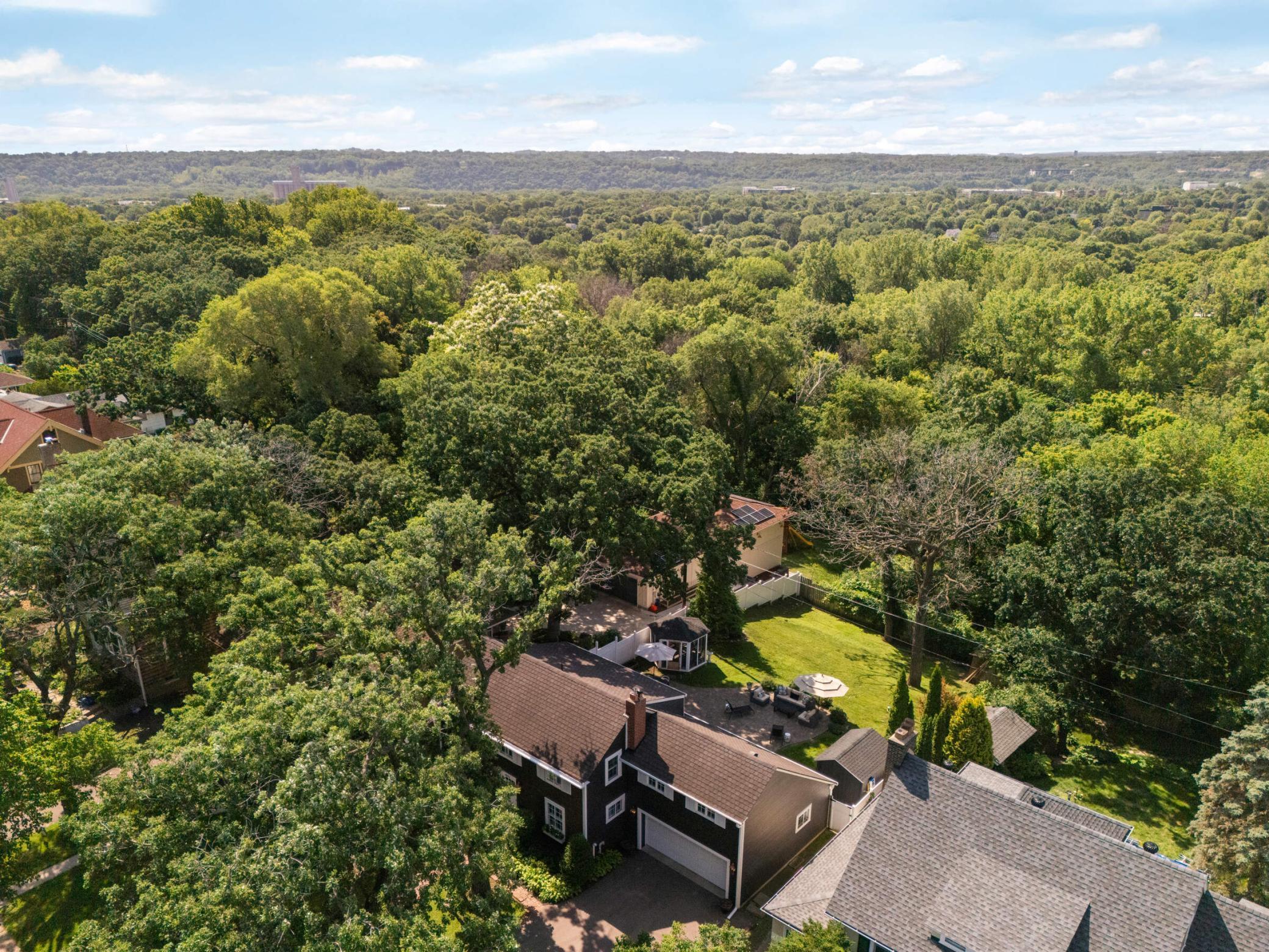 Aerial photo of the back yard