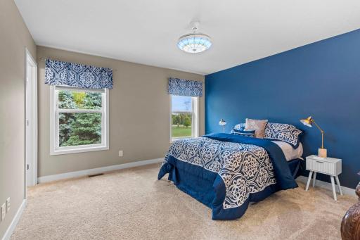 This Primary bedroom has a walk-in closet, private 3/4 bath and looks onto the large evergreens. 1515 138th St E, Rosemount, MN