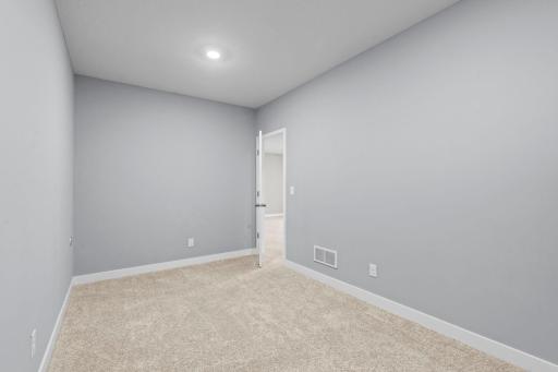 The lower level flex room. 1515 138th St E, Rosemount, MN