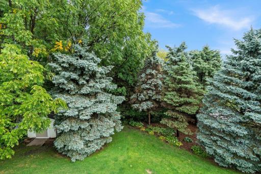 Hard to find this much privacy these days! 1515 138th St E, Rosemount, MN
