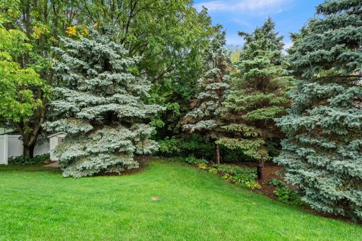 Gorgeous, private backyard. 1515 138th St E, Rosemount, MN