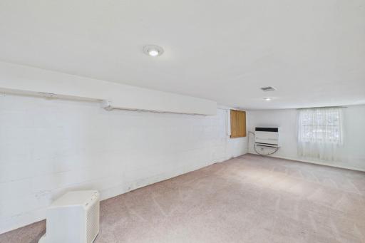 Large lower level family room