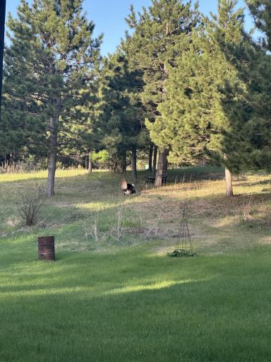 22939 510th Avenue, Henning, MN 56551