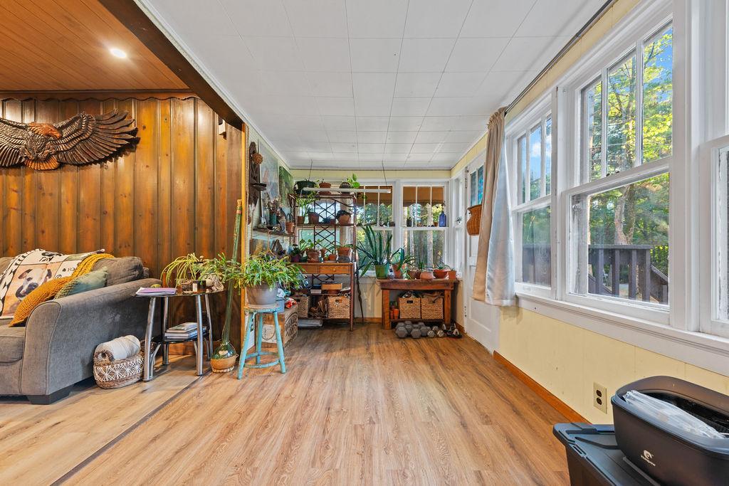Create a jungle or relax in the warmth.jpg