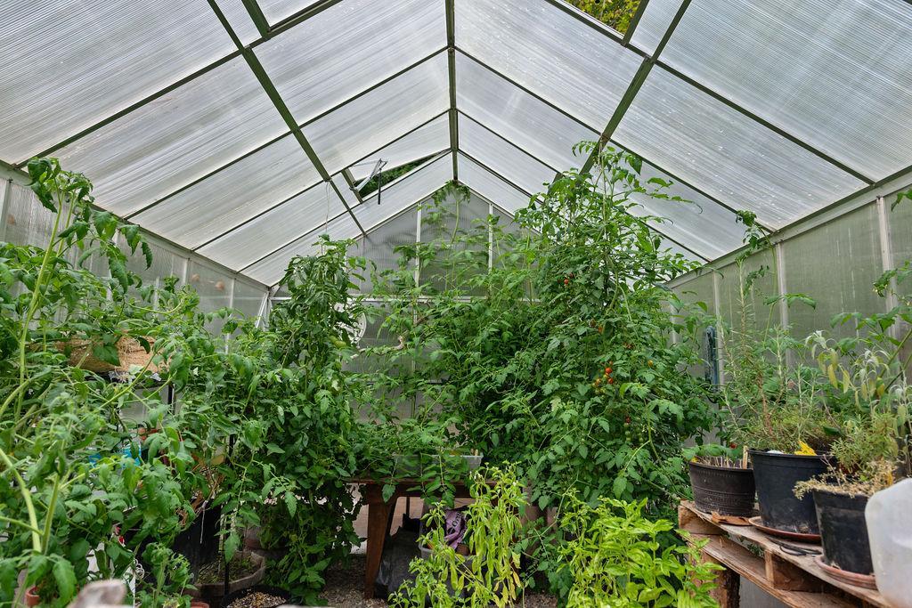 Greenhouse for all year growing.jpg