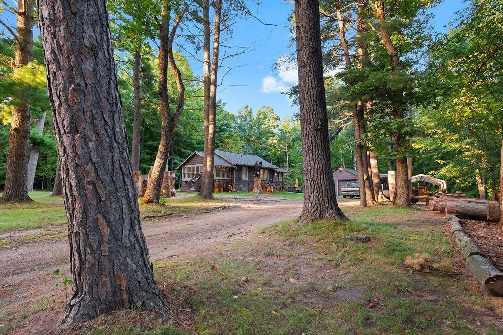 Cottage in the trees.jpg