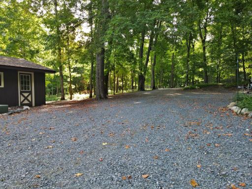 DRIVEWAY AND MATURE TREES.jpg