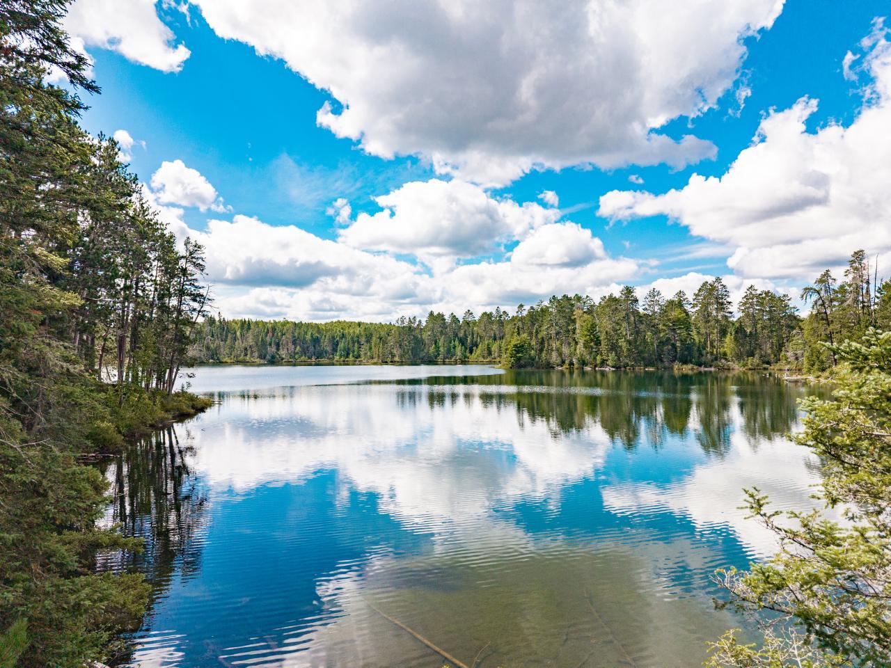 10410_Gunsten_Lake_Road_016.jpeg