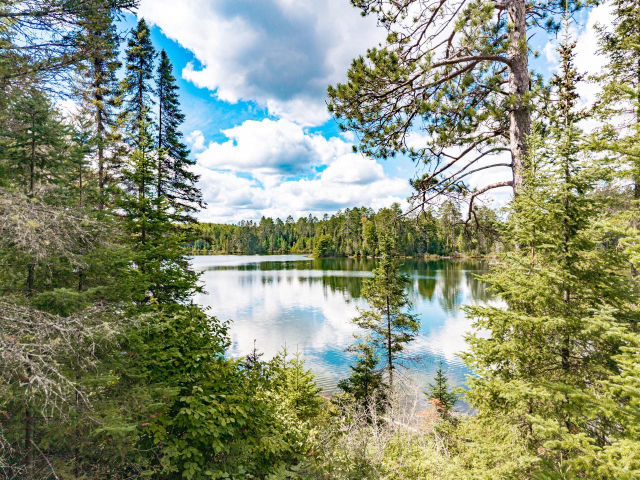 10410_Gunsten_Lake_Road_015.jpeg
