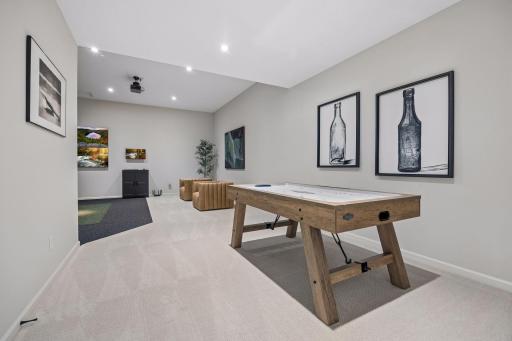 Multi Media Room / Game Entrance
