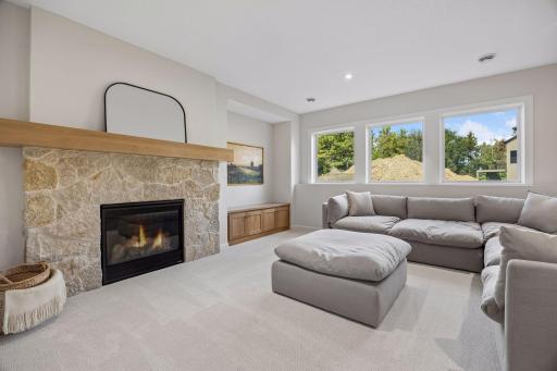 Lower Level Family Room